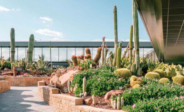 Desert City Desert City